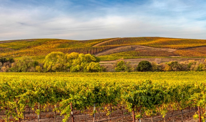 NAPA.jpeg