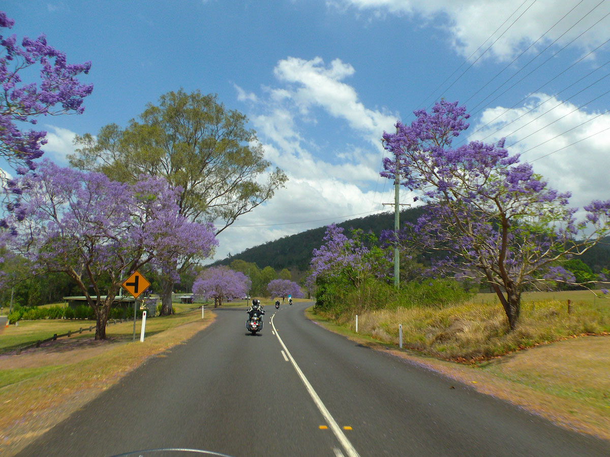 QUEL BUDGET PRÉVOIR POUR CE ROAD TRIP EN AUSTRALIE ET EN TASMANIE ?