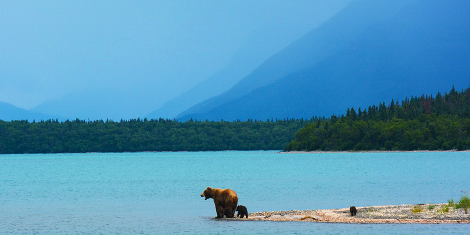 Journée libre à Homer