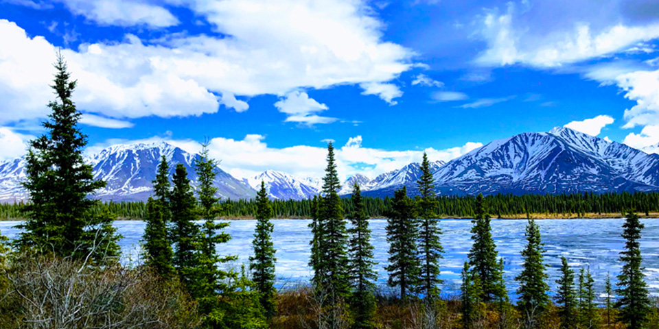 Talkeetna (183 km)