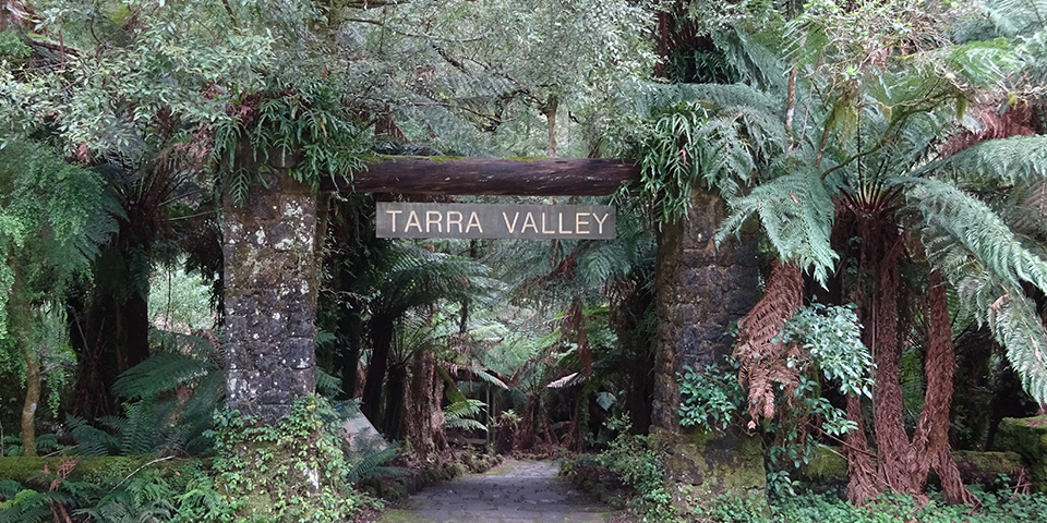 Yarra Valley (234 km)
