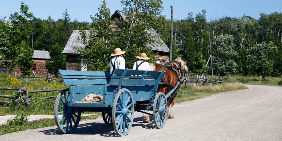 Carleton (260 km)