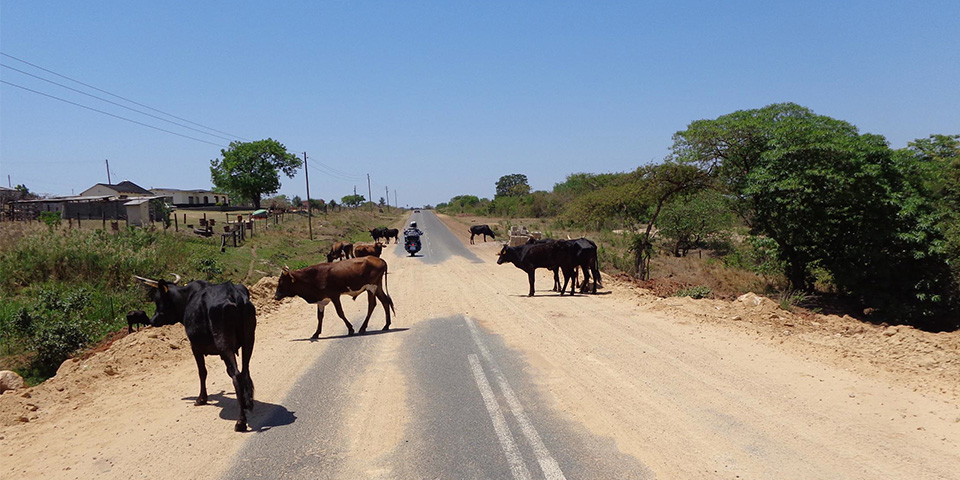 Le Royaume du Swaziland (370 km)