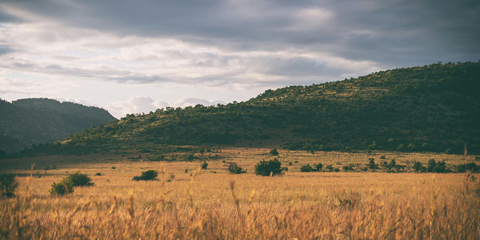 Pilanesberg (495 km)