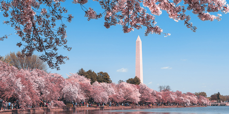 Washington, journée libre