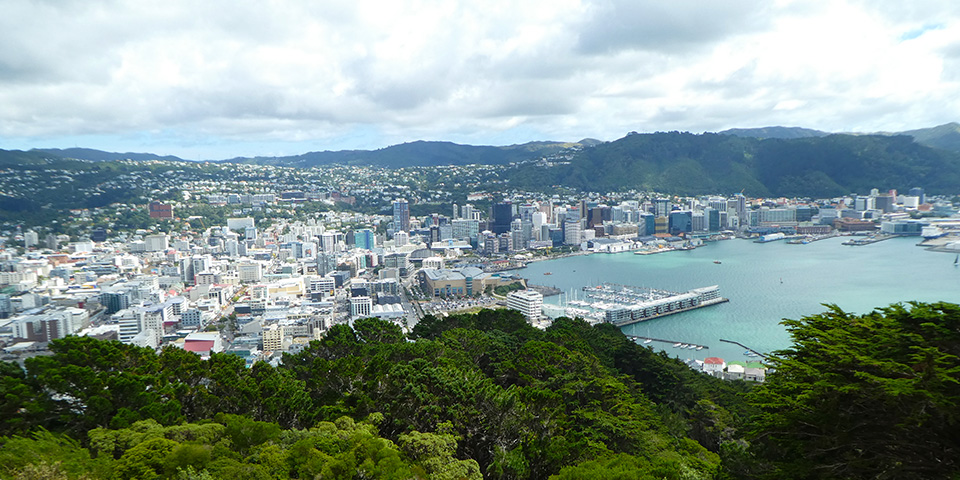 Wellington (350 km)