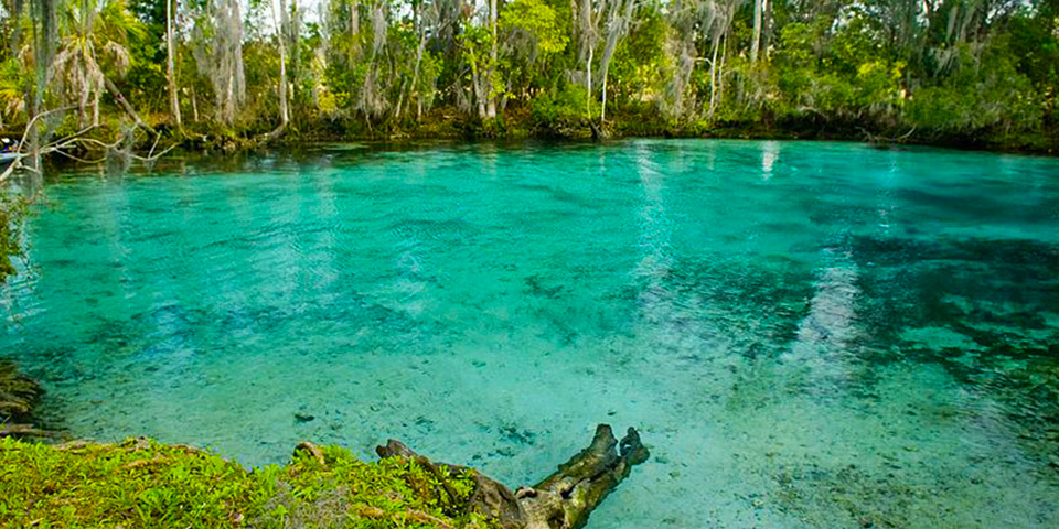 Crystal River (207 km)