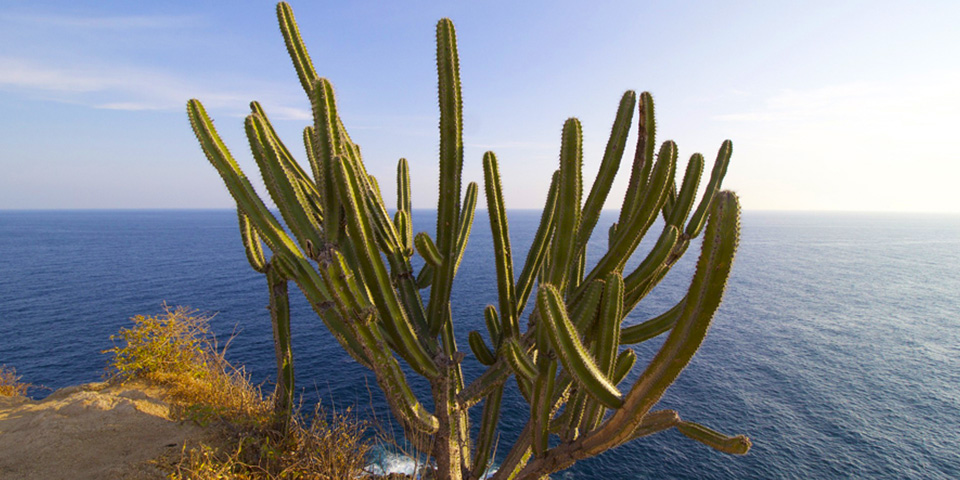 Huatulco (232km)