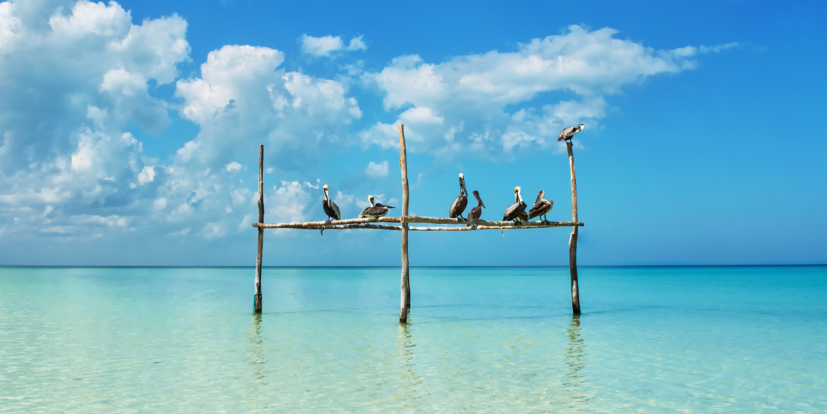 Journées libres à Holbox
