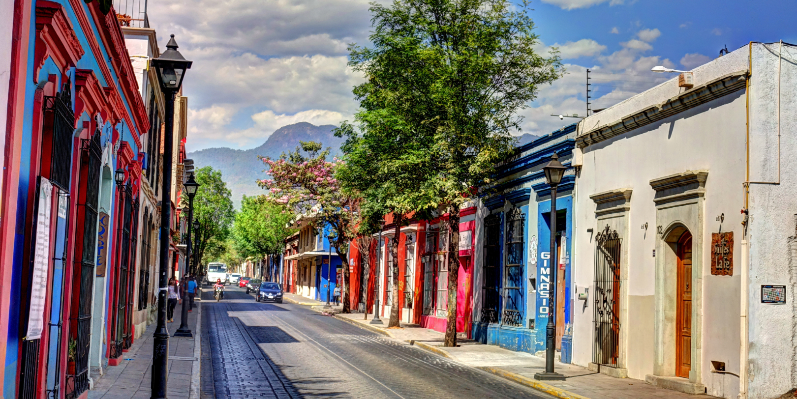 Oaxaca (250 km)
