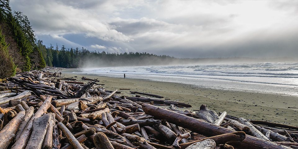 Ucluelet (320 km)