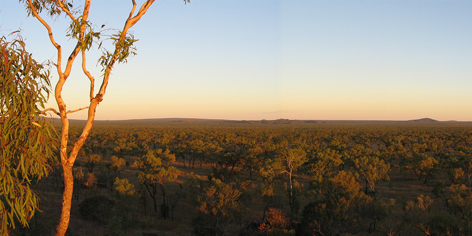 Undara National Park (539 km)