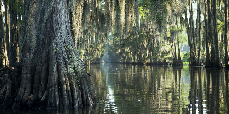 Natchez (260 km)