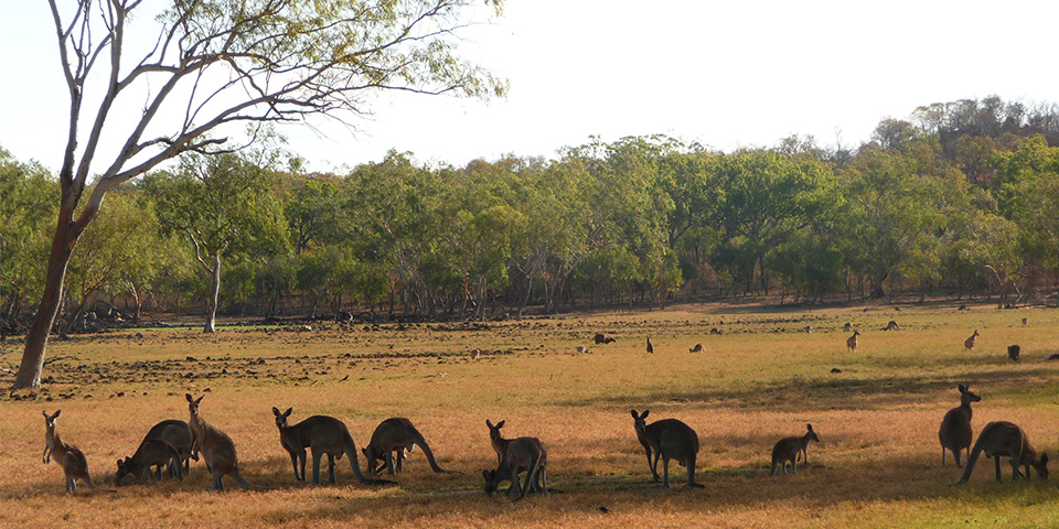 Toowoomba (323 km)