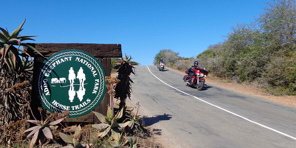 Addo Elephant park (250 km)