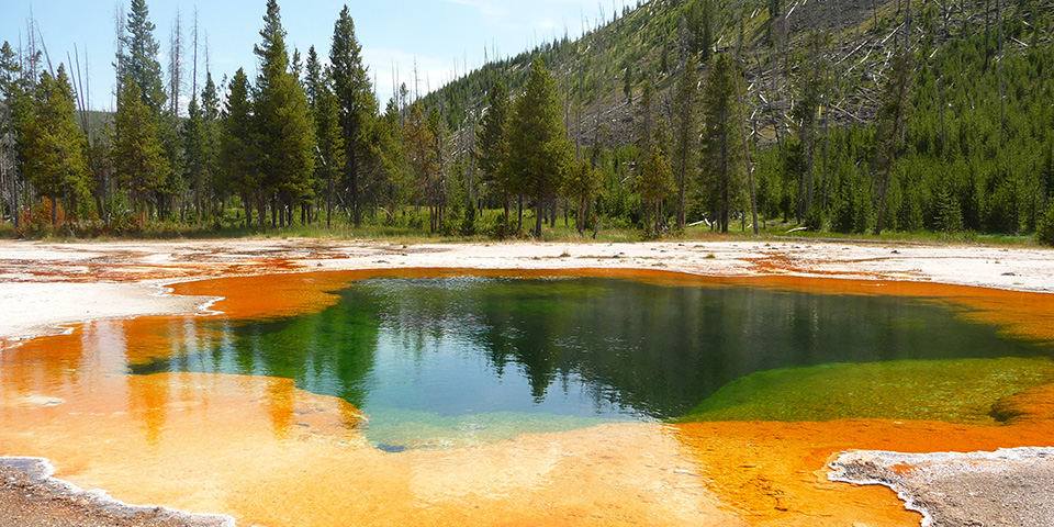 Journée libre à Yellowstone