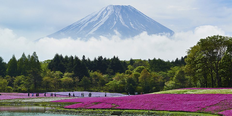 Hamamatsu (240 à 290 km selon les conditions météo)