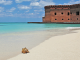 Drytortugas